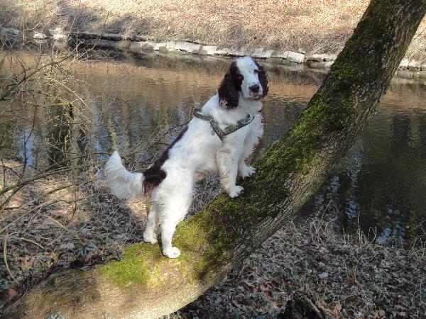 Ich in Pose