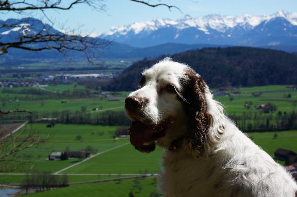 Tux in Eichberg