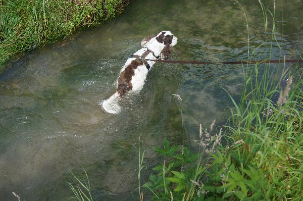 Wasser!