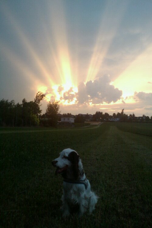 Abendstimmung mit Tux